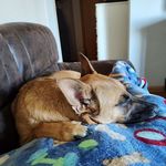 Mike Amy Buettner - @mikeamybuettner - Instagram