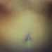Aimee Rose Bumbaugh - Facebook