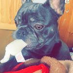 Amy Burden - @amyburden34 - Instagram