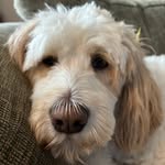 Amy Burden - @burd77 - Instagram