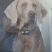 Amy Burzinski Gaidosh - Facebook