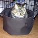 Amy Byrd - Facebook