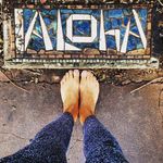 Amy Byrd - @amy.iamyoga - Instagram