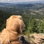 Amy Batchelar Cagle - @amyjobatch - Instagram
