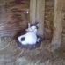 Amy Callihan - Facebook