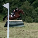 amy cantwell 🏴󠁧󠁢󠁳󠁣󠁴󠁿 - @evieeventing - Instagram
