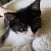 amycarrickvande92 - @amycarrickvande92 - TikTok