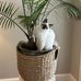 Amy Cary - Facebook
