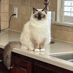 Amy Cary - @adcary5 - Instagram