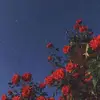 user1346485018792 - @amycate88 - TikTok