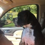Amy Cathcart White - @amycathcartwhite - Instagram