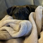 Amy Cavanaugh Jiorle - @amyjiorle - Instagram