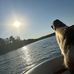 Amy Cavanaugh-Miller - Facebook