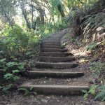 Amy Cavanaugh-Volk - @stinsonhappiness - Instagram