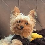 Amy Cessna - @littlejacks15 - Instagram