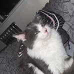 Amy Chadwick - Facebook