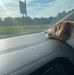 Amy Chamberlain - Facebook