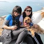 Amy Chew - @amychew.0403 - Instagram
