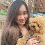 Amy Chew - @amychews.dds - Instagram