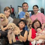 Amy Chew - @amychew1954 - Instagram
