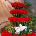 Amy Cisneros - Facebook
