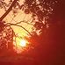 Amy Cisneros - Facebook