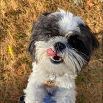 Amy Clair Abbott - Facebook