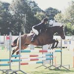 Amy Clancy - @showjumping__life - Instagram