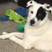 Amy Claxton - Facebook