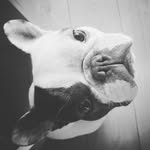 Amy Claydon - @amy110184 - Instagram