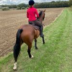 Amy Claydon-Lee - @amyclaydonlee - Instagram