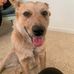 Amy Carter - Facebook