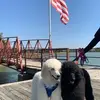 amyclemons449 - @amyclemons449 - TikTok