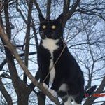 Amy McEvoy Cobaugh - @amy_cobaugh - Instagram