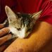 Amy Coey - Facebook