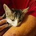 Amy Coey - Facebook