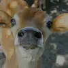 amy_contreras - @amy_contreras - TikTok