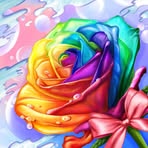Amy Coombs - Facebook