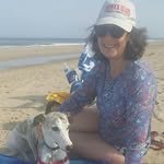 Amy G. Coombs - @amygcoombs - Instagram