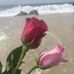 Amy Corriea - Facebook