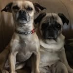 Amy Corry - @amy.corry.54 - Instagram