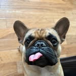 Amy Courter - @buffalogal13 - Instagram