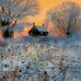 Aimee Coury - Facebook
