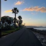 Amy Coyne - @amycoyne1 - Instagram