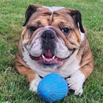Amy Cranmer - @amyc2978 - Instagram