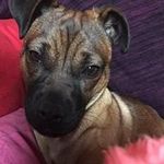 Amy Cranmer - @amycranmer - Instagram