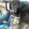 amycrist758 - @amycrist758 - TikTok