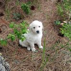 Amy Criswell - Facebook