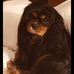 Amy Cromer - Facebook