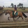 amycrampton - @amycrampton - TikTok
